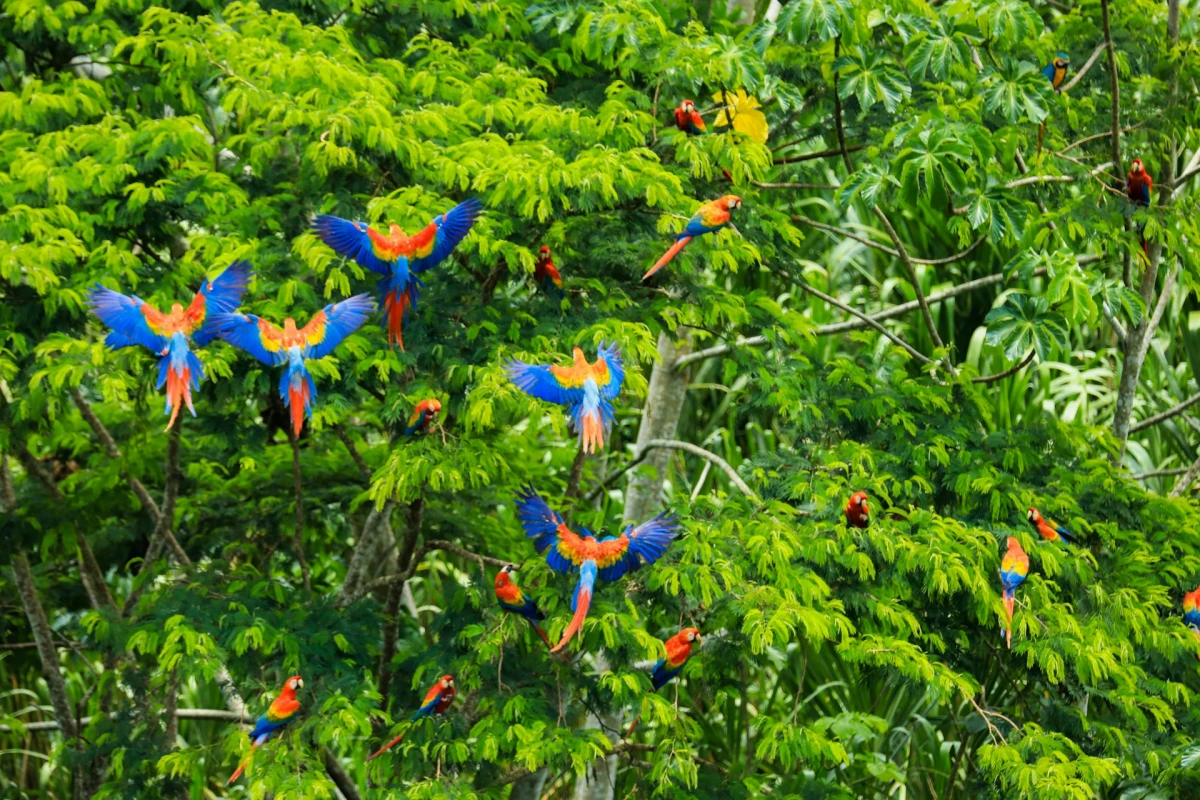 Andes y Amazonia 2026