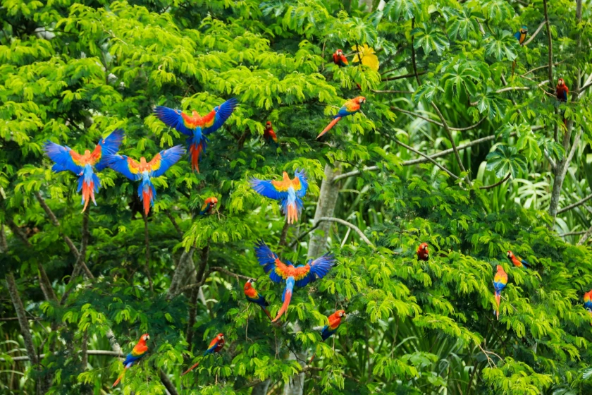 Andes y Amazonia 2026
